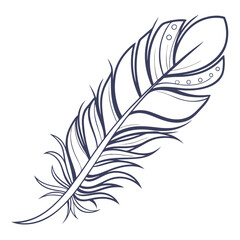 Obraz premium A detailed black and white illustration of a single feather