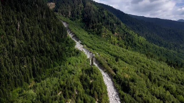 Landslide making its way down a forested mountainside in Georgia