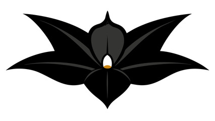 Black Bat Flower Tacca Chantrianta Flat Vector Illustration