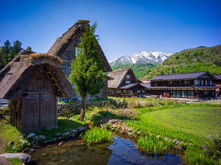 Traditional Gassho-Zukuri thatched roof houses in Shirakawa-go, Japan, with koi pond, rice fields, and snow-capped mountains in the background.