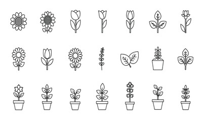 A collection of minimalistic line art icons featuring various flowers and potted plants, presented in a clean, contemporary style, suitable for diverse design applications.