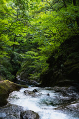 Nishizawa Gorge in Yamanashi Prefecture, in Japan. A famous location for hiking along the river  and very popular during the autumn season.