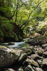 Nishizawa Gorge in Yamanashi Prefecture, in Japan. A famous location for hiking along the river  and very popular during the autumn season.