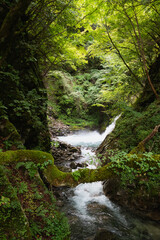 Fototapeta premium Nishizawa Gorge in Yamanashi Prefecture, in Japan. A famous location for hiking along the river and very popular during the autumn season.