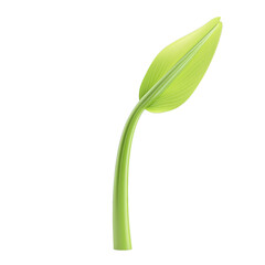 Obraz premium Young green plant sprout with two fresh leaves and curved stem, hopeful natural growth and new life