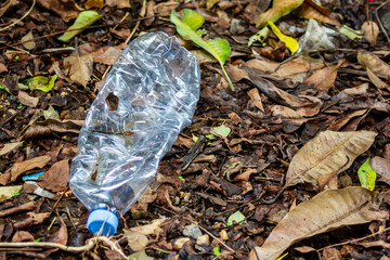 Plastic trash, PET bottle and plastic bag in the forrest. The environmental pollution. Nature protection.
