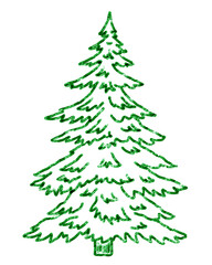 Chalk drawing of a tall and lush green pine tree in Canadian forest style. Hand drawn crayon scribble illustration with natural and playful mood.