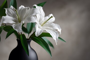 Fototapeta premium Elegant White Lilies in Black Vase with Soft Neutral Background Highlighting Blooming Petals and Serene Floral Contrast