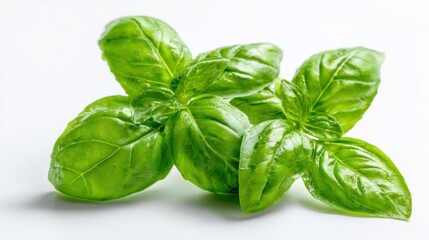 Fototapeta premium Bright green basil leaves are displayed on a smooth light surface, showcasing their glossy texture and vibrant color, perfect for enhancing dishes and garnishing plates.