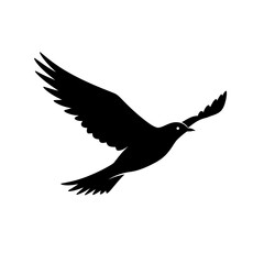 dove of peace