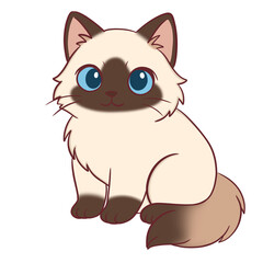Cute Ragdoll Cat Illustration, Blue Eyes Kitten