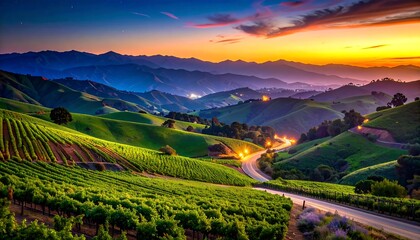 Scenic vineyard valley at sunset