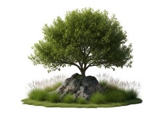 A lush green tree stands majestically atop a rocky outcrop, surrounded by various grasses and plants, creating a tranquil and peaceful scene.