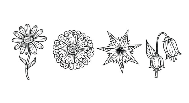 Hand drawn botanical sketches of four unique floral blooms delicate line art nature study vector