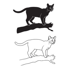 Balanced Margay Silhouette & Margay Lineart – Margay Vector Template Displaying Clean Wild Cat Shape – Margay Illustration – Silhouette and Lineart Set of Margay