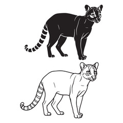 Detailed Margay Silhouette & Margay Lineart – Margay Vector Graphic with Smooth Structural Lines – Margay Illustration – Silhouette and Lineart Set of Margay
