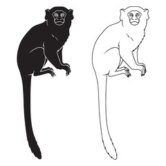 Strong Marmoset Silhouette & Marmoset Lineart – Marmoset Vector Image Built with Bold Graphic Style – Black Vector of Marmoset – Vector Set of Marmoset