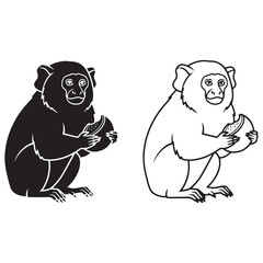 Defined Marmoset Silhouette & Marmoset Lineart – Marmoset Vector Graphic with Strong Structural Lines – Black Vector of Marmoset – Vector Set of Marmoset