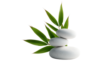 Zen Stones with Bamboo Leaves – Spa and Wellness Concept