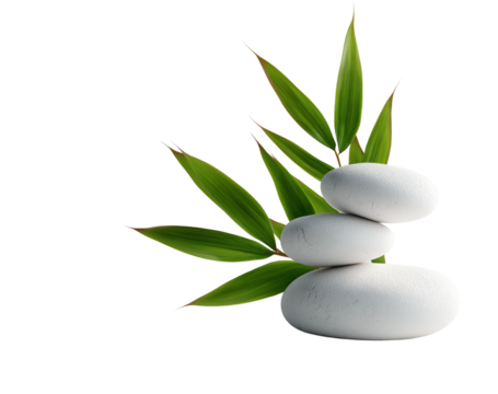 Zen Stones with Bamboo Leaves – Spa and Wellness Concept