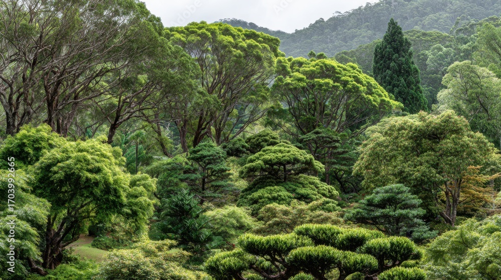 Poster a vibrant forest filled with various types of trees showcasing different shades of green under a clo