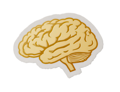 High quality photo of stylized human brain illustration isolated on transparent background.