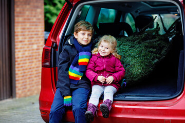 Adorable little toddler girl and school kid boy with Christmas tree inside of family car. Happy healthy children in winter fashion clothes buying big Xmas tree for traditional celebration.