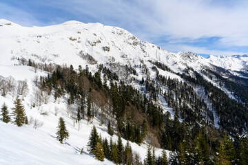 A ski resort with snow-capped peaks and mountains covered with forest.