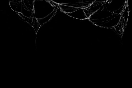 Tangled spider's web on isolated black background for Halloween design. White cobweb for applying in screen blend mode on any concept