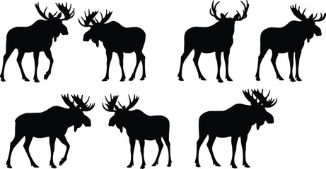 Set of six moose silhouette vectors with large antlers in various poses, perfect for wildlife, forest, or hunting-themed designs.