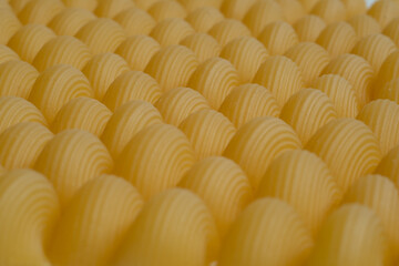 pasta on a white background