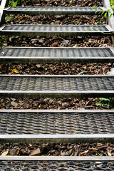 Metal steps close-up in forest, atmosphere for outdoor enthusiasts and nature lovers, walking and hiking