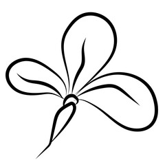 Line Illustration Element