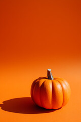 Small Pumpkin on Orange Background Minimalist Autumn Concept