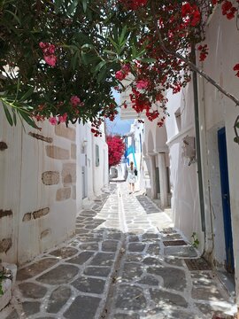 Fototapeta Greek street with bourgainvillea flowers