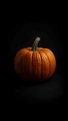Single Orange Pumpkin on Black Background - Autumn Harvest Minimalist Photography