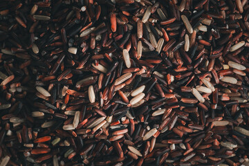 Top view of organic mixed rice grains. Concept of healthy food, sustainable agriculture