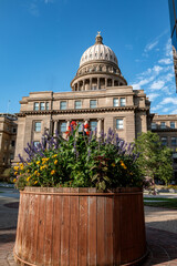 Planter box filled with flowers and the Idaho Capital
