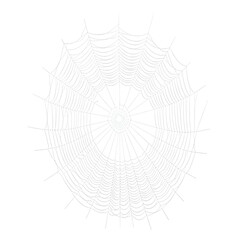 Obraz premium Intricate Spider Web Design Isolated on White Background, Showcasing Nature's Delicate Engineering and Fine Details