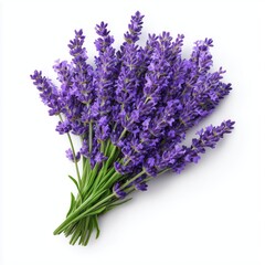 Obraz premium A Stunning Bouquet of Lavender , isolated on white background png
