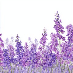 Fototapeta premium Purple Floral Watercolor Painting , isolated on white background png