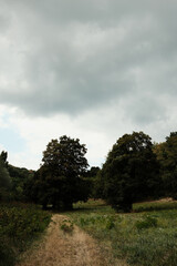 Dirt trail between meadows and trees under cloudy sky in Fruska Gora National Park, Serbia