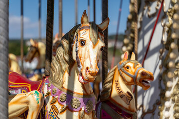 Carousel horses in bright sunlight