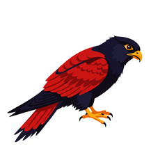 Fototapeta premium Striking Red-and-Black Hawk Illustration, Perched Profile View