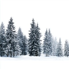 Naklejka premium Frosted Forest in Winter Wonderland , isolated on white background png