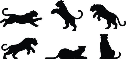 Panther silhouette vector illustration set showing wild big cat in multiple poses, walking, sitting, running, jumping, resting, animal wildlife artwork design
