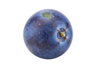 Close-up view of a vibrant, deep blue blueberry, showcasing its textured surface and the small, central stem.