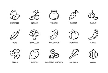 Eco vegetables with names related vector linear icons set. Isolated icon collection such as potatoes, squash, tomato, carrot, garlic, peas, broccoli, chilli, beans, batata and more.