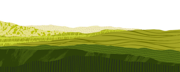 Agriculture field collage background with scribbles and crayon drawn patterns. Asian countryside farm collage banner design. Ecology decorative abstract banner. Rise, wheat or tee landscape.