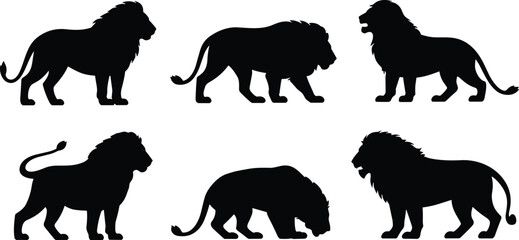 Set of lion silhouette vector illustrations, wild animal graphic design collection, powerful jungle predator symbols, African wildlife icons, big cat artwork for nature themes